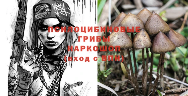 сатива Белокуриха