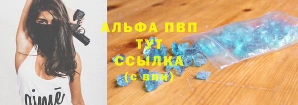 сатива Белокуриха