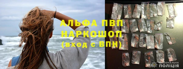 сатива Белокуриха