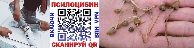 Псилоцибиновые грибы ЛСД  ссылка на мегу как войти  Озёрск 